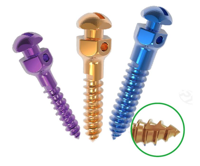 Orthodontic Screw